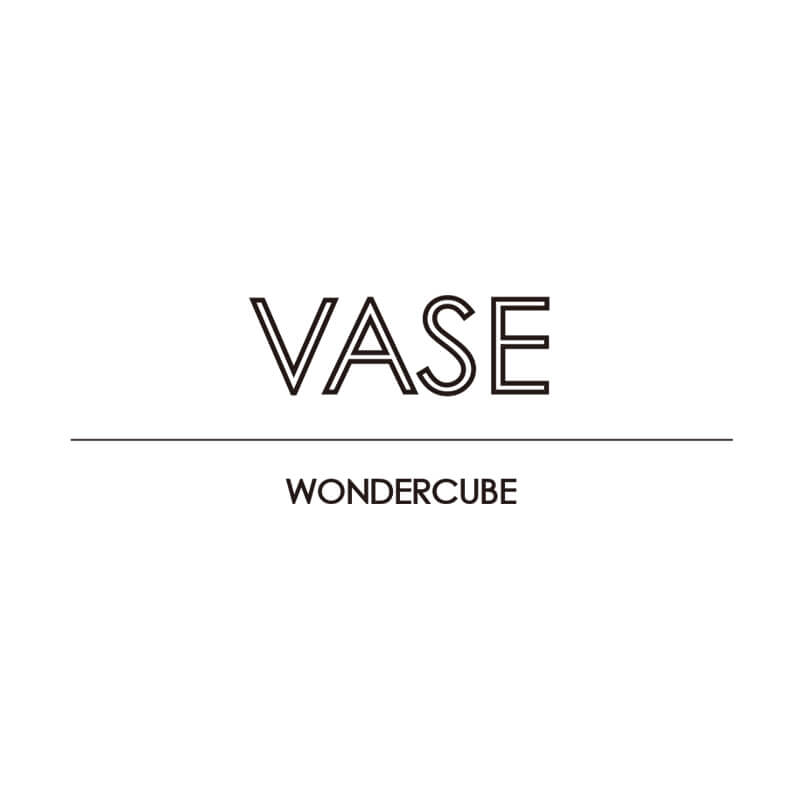 VASE WONDERCUBE