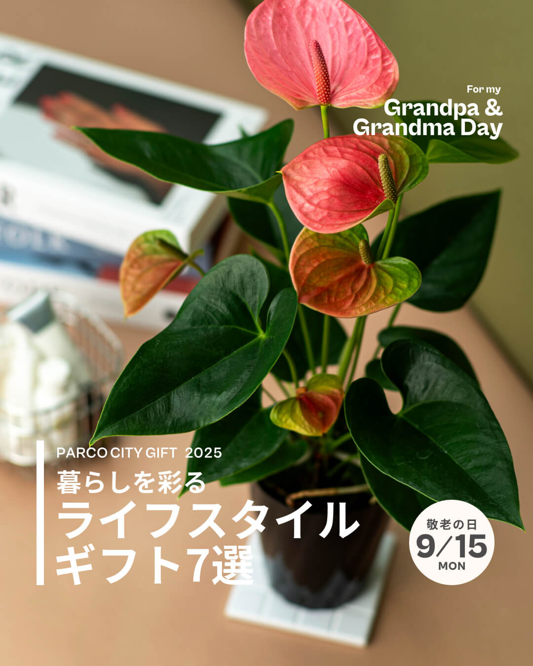 暮らしを彩る ライフスタイルギフト