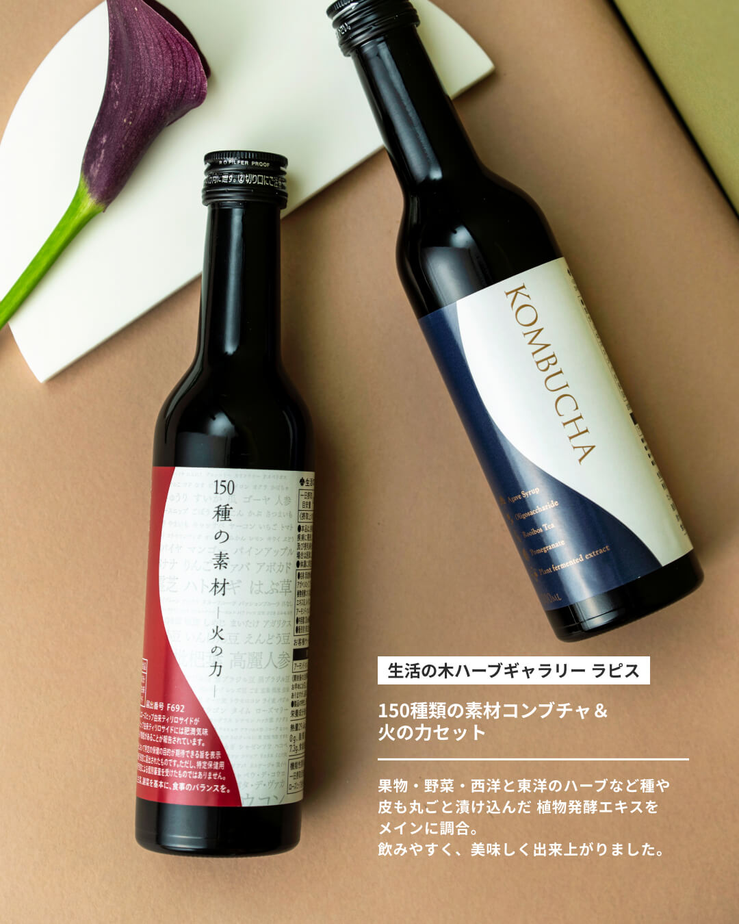 暮らしを彩る ライフスタイルギフト