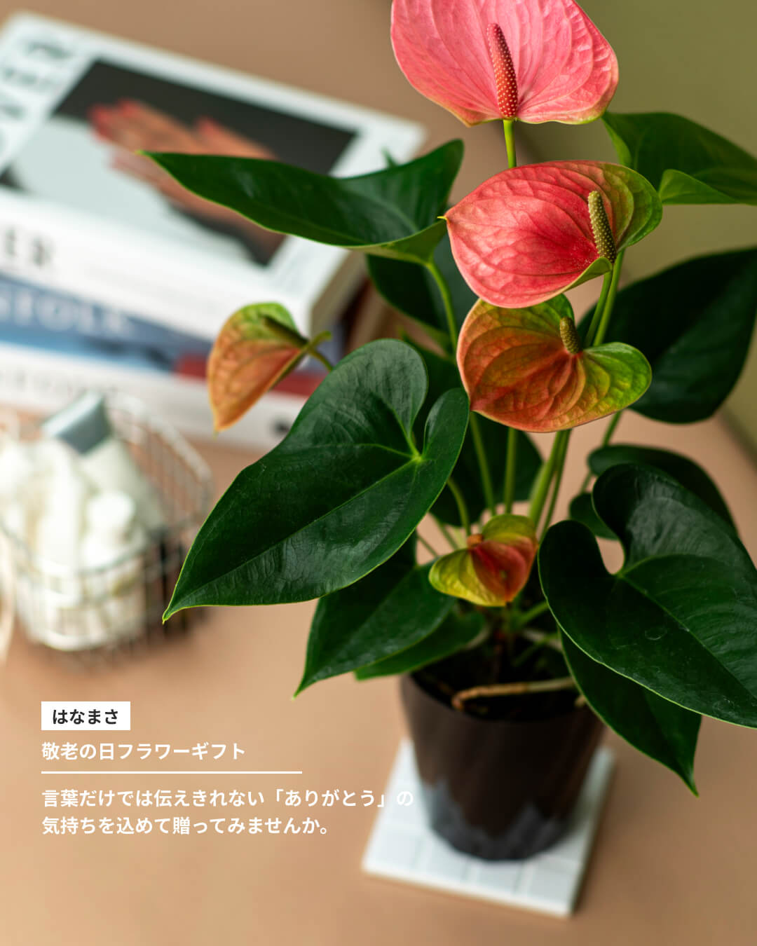 暮らしを彩る ライフスタイルギフト
