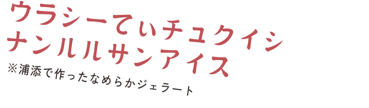 ウラシーテダコてぃチュクイシ ナンルルサンアイス　※浦添てだ桑茶で作ったジェラート