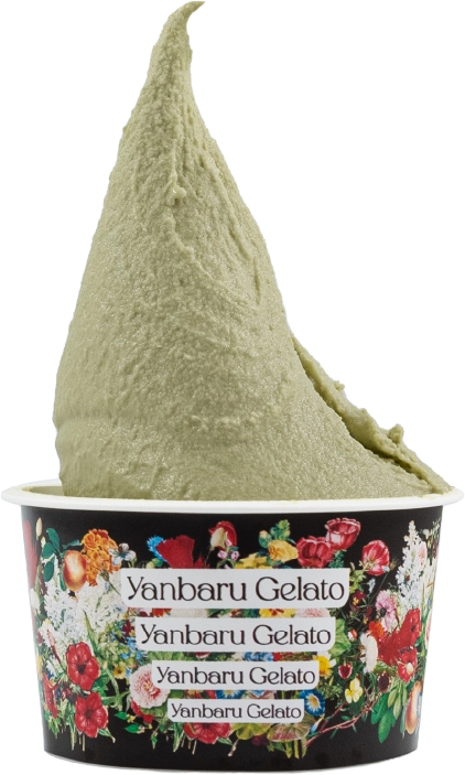 やんばるジェラート　浦添てだ桑茶 600円