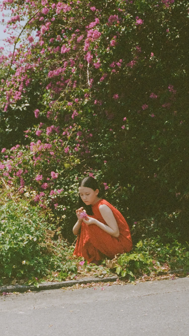 Vint Wonder Cube - 背景画像