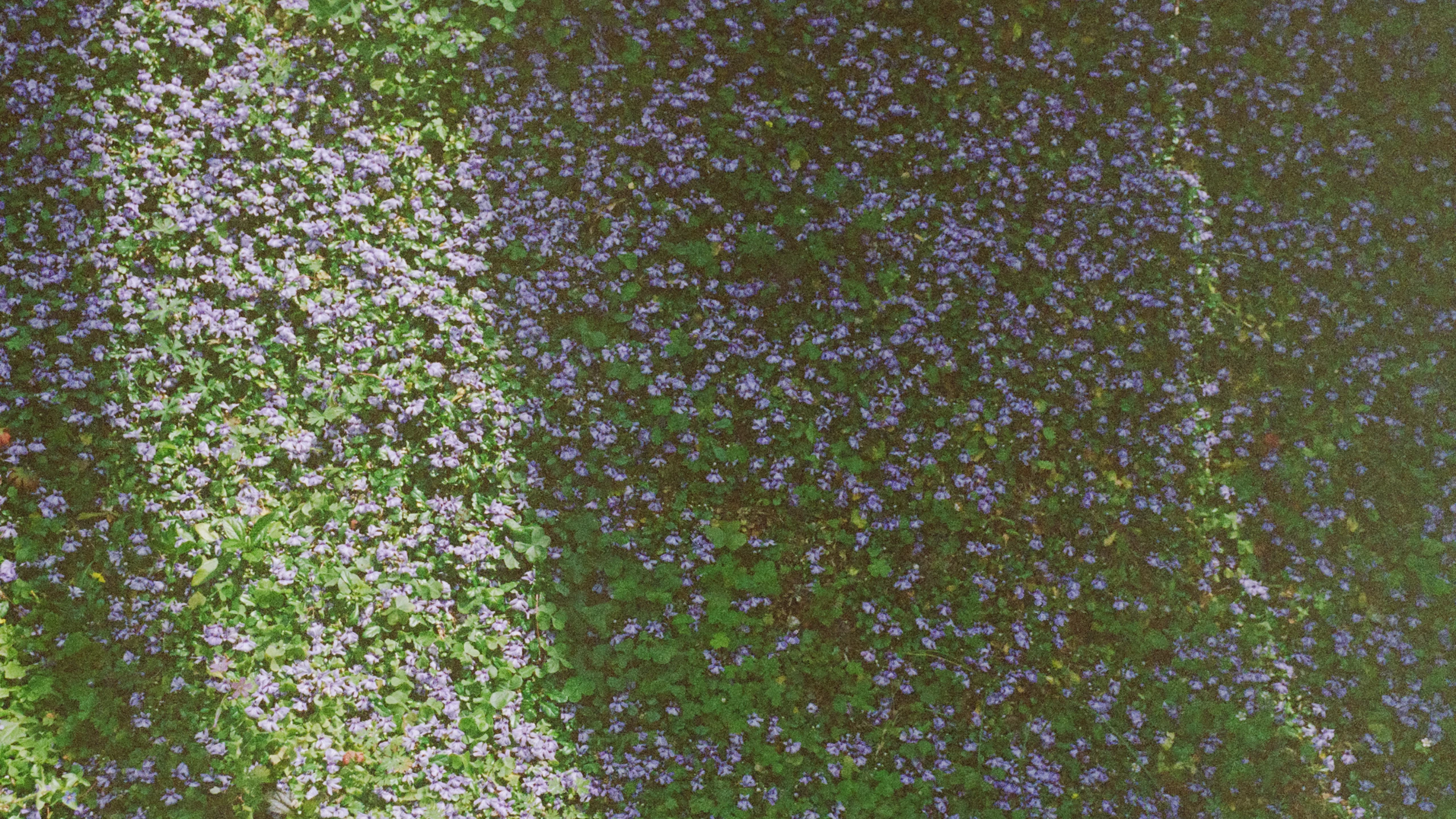 Oki ★ Rock - 背景画像