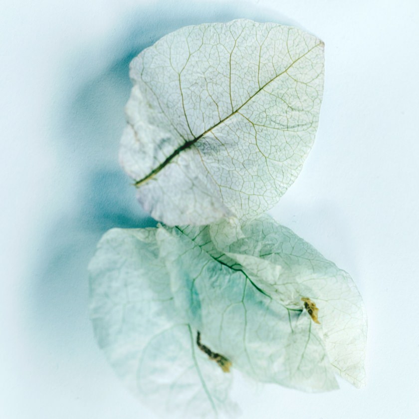 Vint Wondercube - Image 4