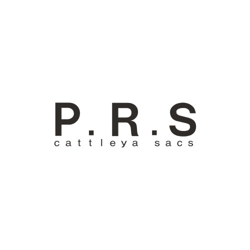 P.R.S カトレアサックス