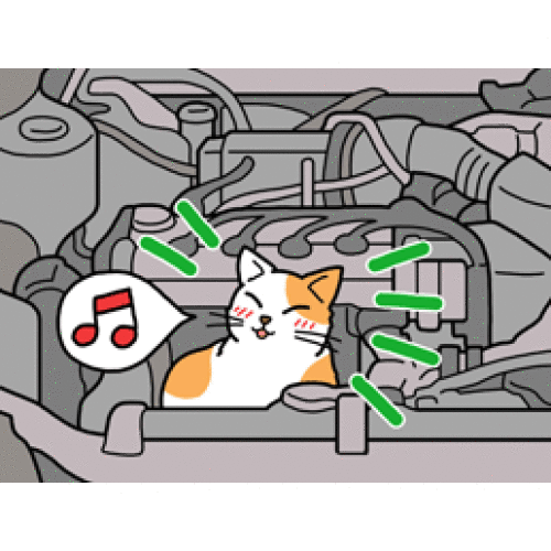 猫バンバンって聞いたことありますか Lounge T ショップブログ Parco City パルコシティ 猫バンバンって聞いたことありますか Lounge T ショップブログ Parco City パルコシティ