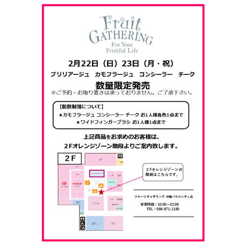 【ブリリアージュ】カモフラージュ コンシーラー チーク数量限定発売について