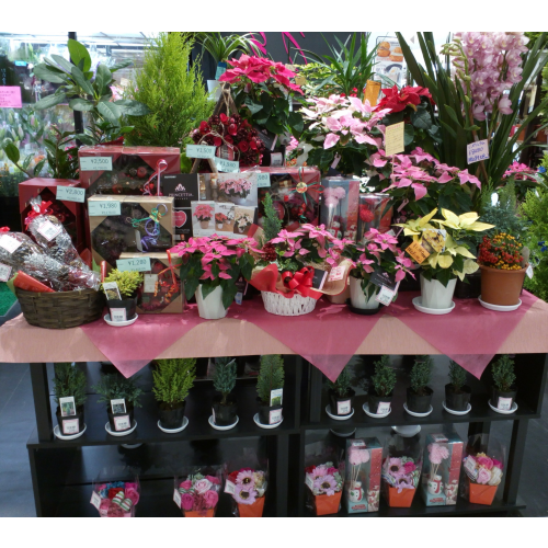 フラワーショップ はなまさ フロアガイド Parco City パルコシティ