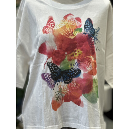 butterfly