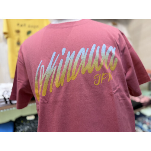 OKINAWAロゴスクリプト