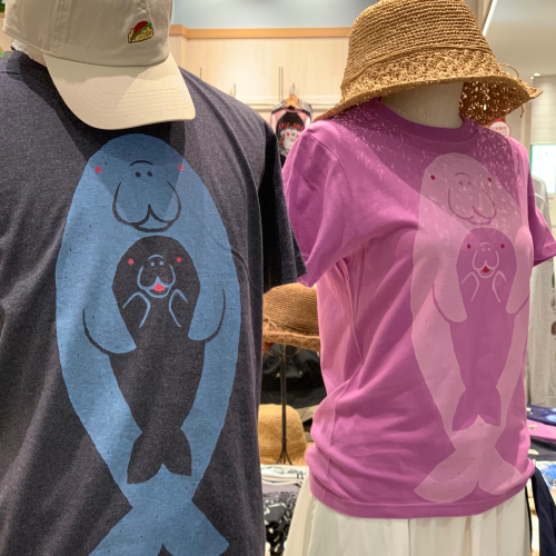 HUGTシャツ新色入荷しました❗️