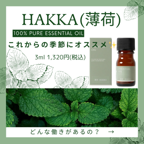 🌱これからの時期にオススメ！薄荷(ハッカ)の精油🌱