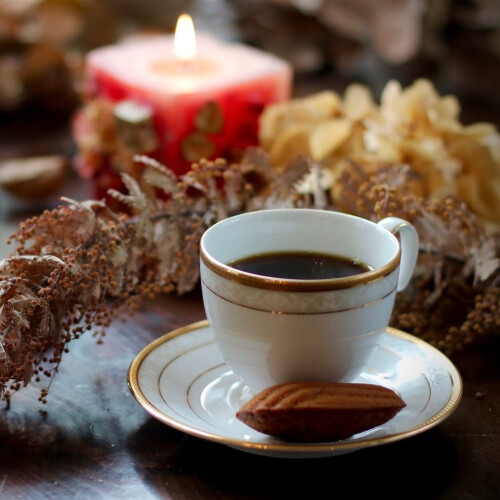 Pa!Pa!Pa!Pa! パンダフル vol.8